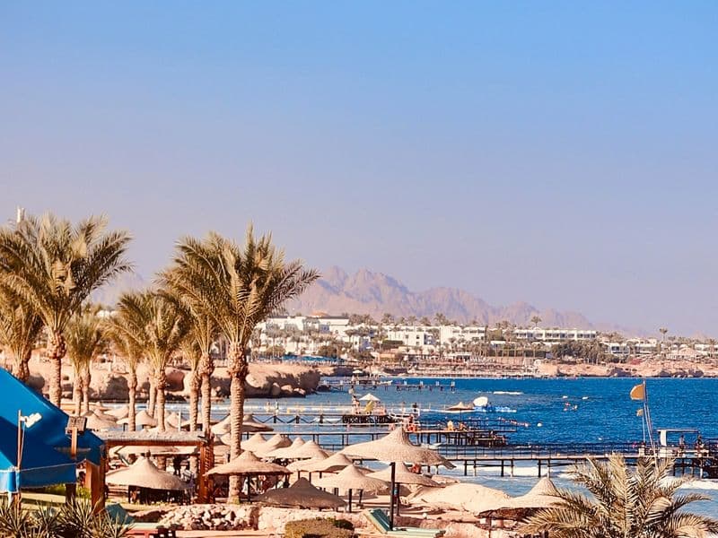 Beach and palms in Sharm El Sheikh
